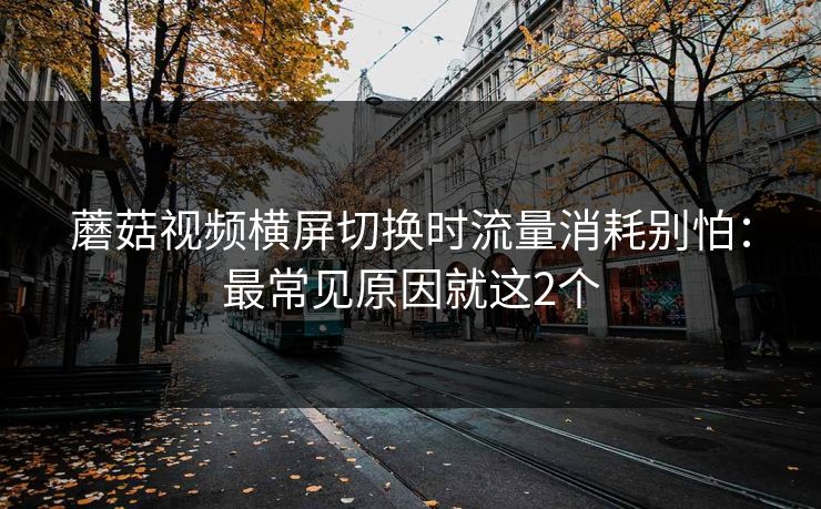 蘑菇视频横屏切换时流量消耗别怕:最常见原因就这2个 蘑菇视频横屏切换时流量消耗别怕:最常见原因就这2个