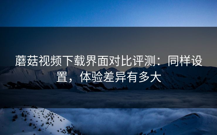 蘑菇视频下载界面对比评测：同样设置，体验差异有多大