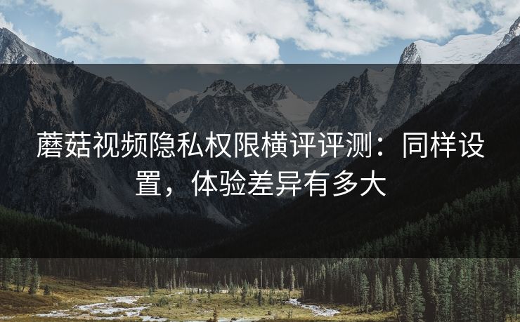 蘑菇视频隐私权限横评评测:同样设置,体验差异有多大 蘑菇视频隐私权限横评评测:同样设置,体验差异有多大
